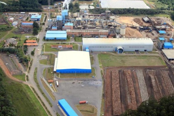 Multinacional americana anuncia investimento de R$ 1,28 bi em fábrica de papel em SC